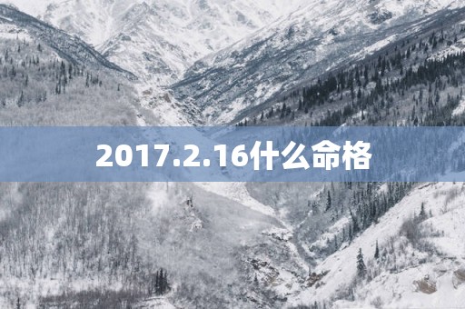 2017.2.16什么命格