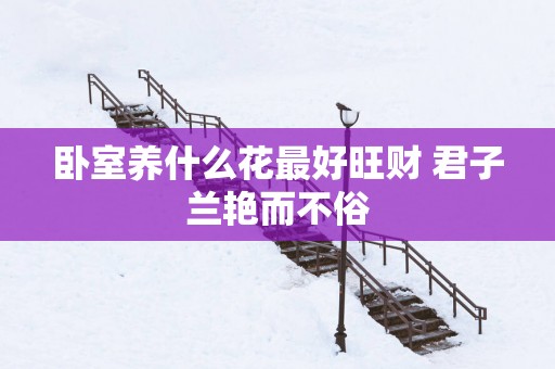 卧室养什么花最好旺财 君子兰艳而不俗