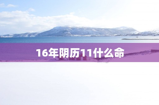 16年阴历11什么命