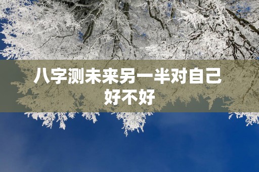 八字测未来另一半对自己 好不好