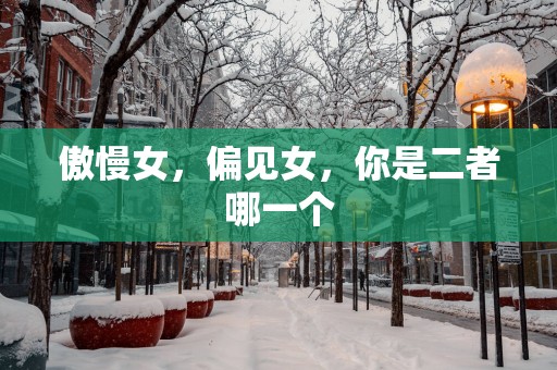 傲慢女，偏见女，你是二者哪一个