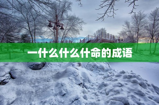 一什么什么什命的成语