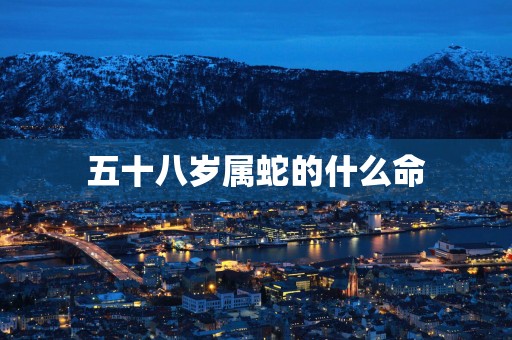 五十八岁属蛇的什么命