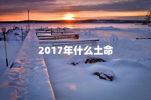 2017年什么土命