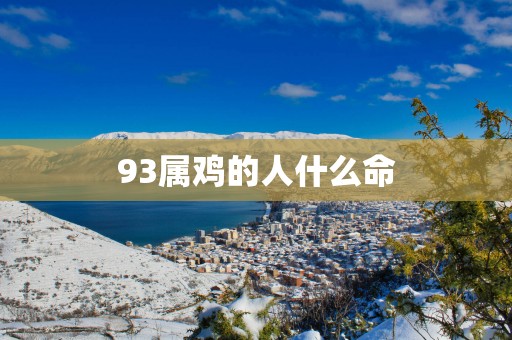 93属鸡的人什么命