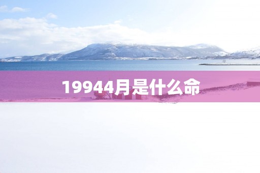 19944月是什么命