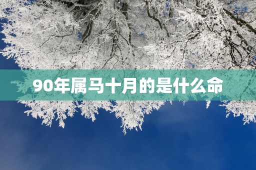 90年属马十月的是什么命