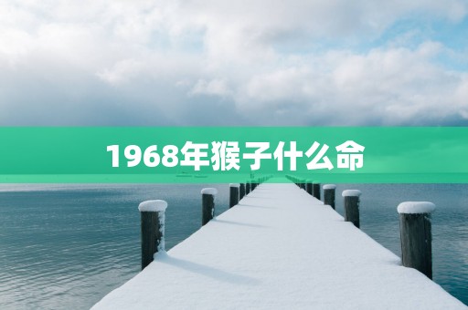 1968年猴子什么命
