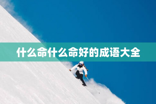 什么命什么命好的成语大全