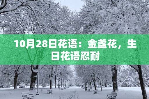 10月28日花语：金盏花，生日花语忍耐