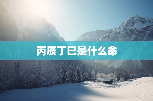 丙辰丁巳是什么命