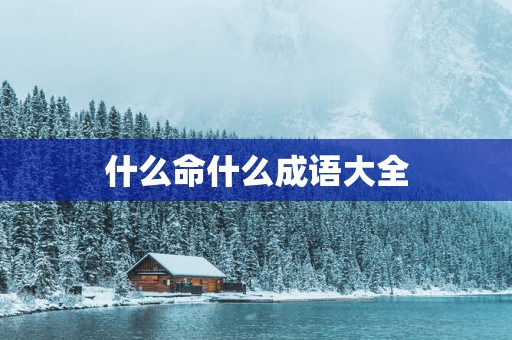 什么命什么成语大全