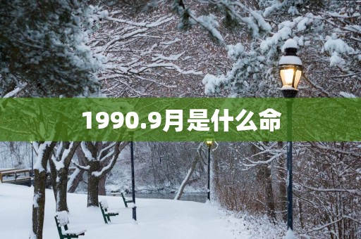 1990.9月是什么命