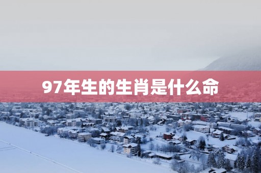 97年生的生肖是什么命