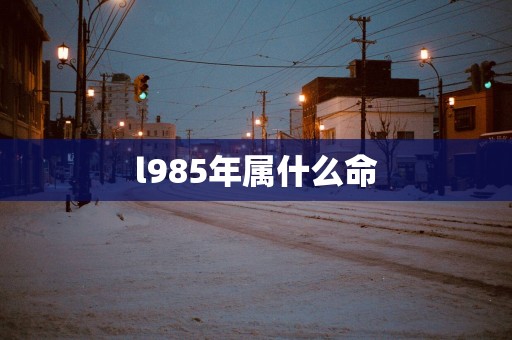 l985年属什么命