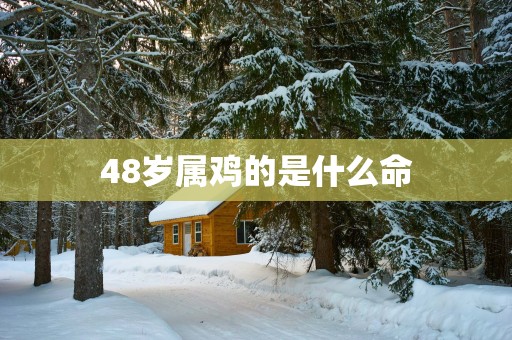 48岁属鸡的是什么命
