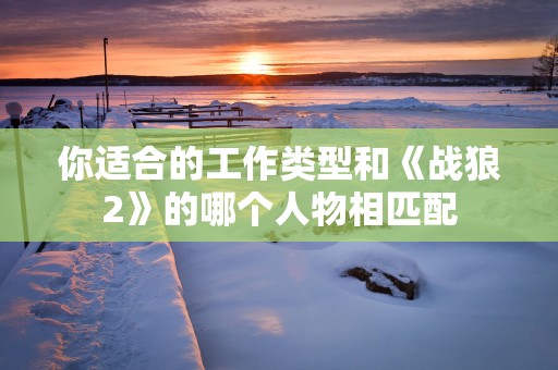 你适合的工作类型和《战狼2》的哪个人物相匹配