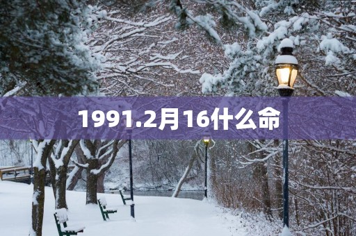 1991.2月16什么命