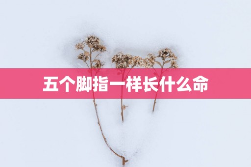 五个脚指一样长什么命