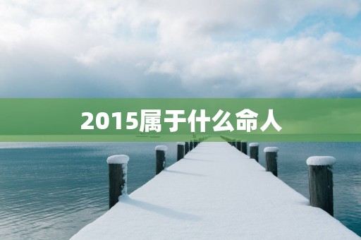 2015属于什么命人