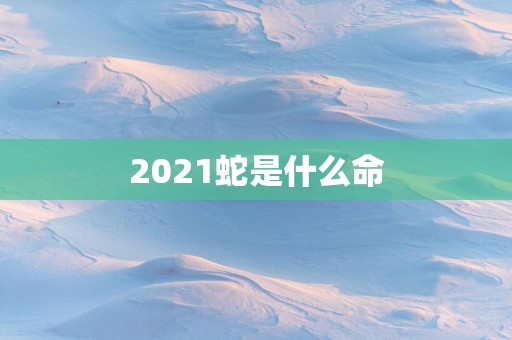 2025蛇是什么命