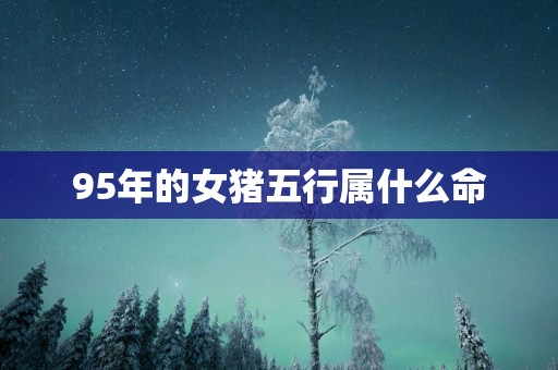 95年的女猪五行属什么命