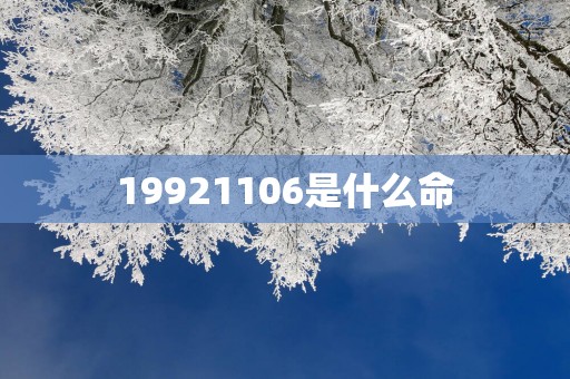 19921106是什么命