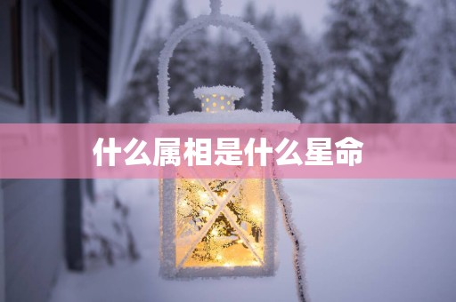 什么属相是什么星命