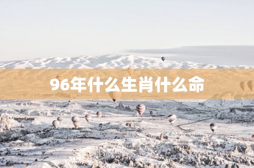 96年什么生肖什么命
