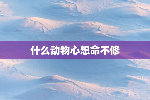 什么动物心想命不修
