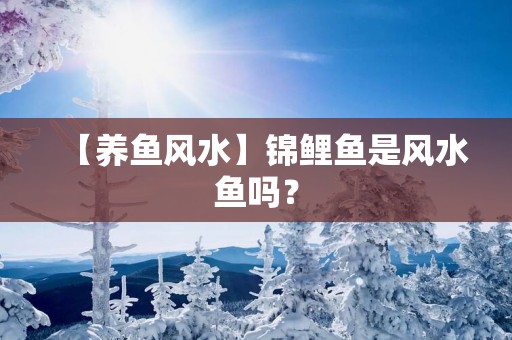 【养鱼风水】锦鲤鱼是风水鱼吗？