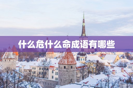 什么危什么命成语有哪些