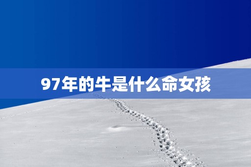 97年的牛是什么命女孩