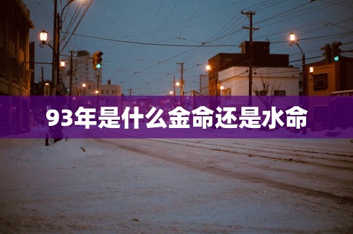 93年是什么金命还是水命