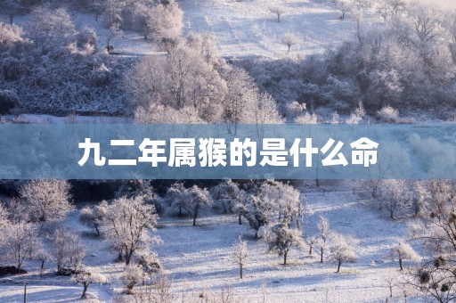 九二年属猴的是什么命