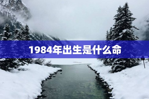 1984年出生是什么命