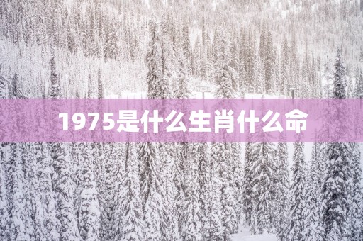 1975是什么生肖什么命
