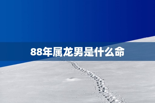 88年属龙男是什么命