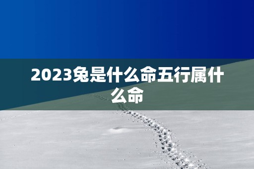 2025兔是什么命五行属什么命