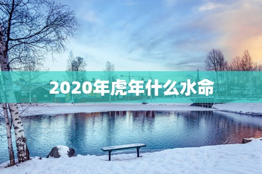 2025年蛇年什么水命