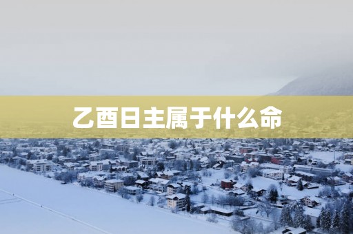乙酉日主属于什么命