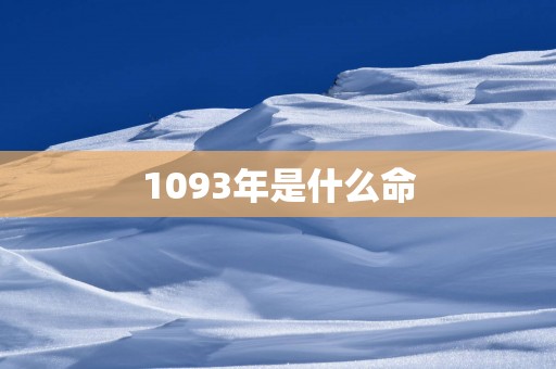 1093年是什么命