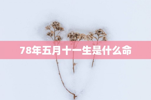 78年五月十一生是什么命