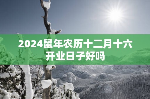 2025蛇年农历十二月十六开业日子好吗