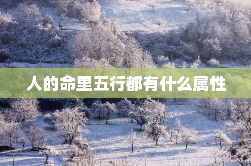人的命里五行都有什么属性