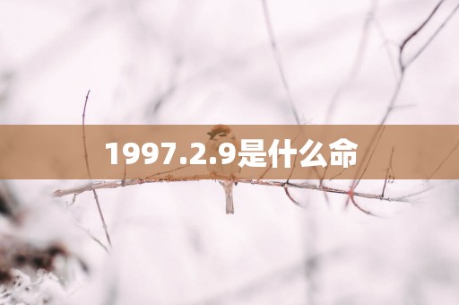 1997.2.9是什么命