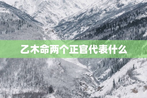 乙木命两个正官代表什么