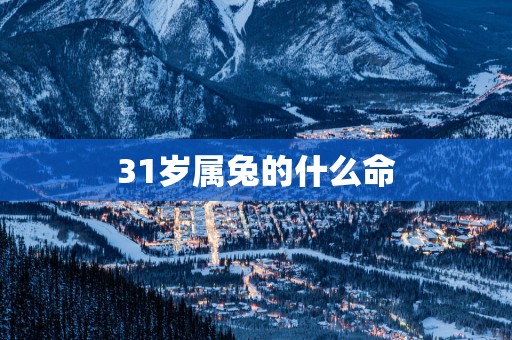 31岁属兔的什么命