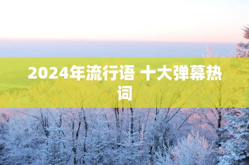 2024年流行语 十大弹幕热词