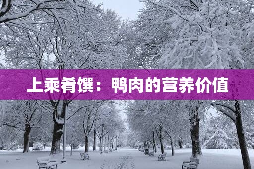上乘肴馔：鸭肉的营养价值